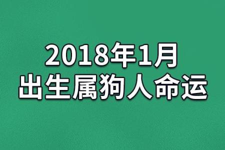 1974年出生的人命运与性格解析：揭秘2018年的运势变化