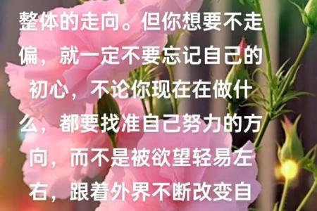 11点38分出生，揭示你的命理特征与人生走向