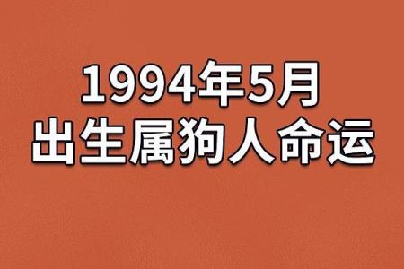 探秘1994年出生者的命运与补救之道