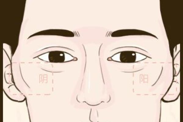 颧骨突出的人生运势解析：命理中的显著特征与影响