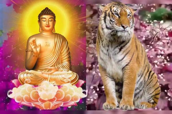 2023年老虎命格解读：勇猛与智慧的完美结合