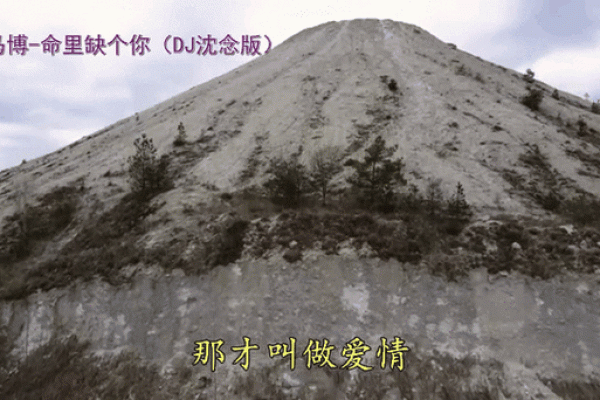 凭什么爱情比命重要？探寻爱的真谛与生命的意义