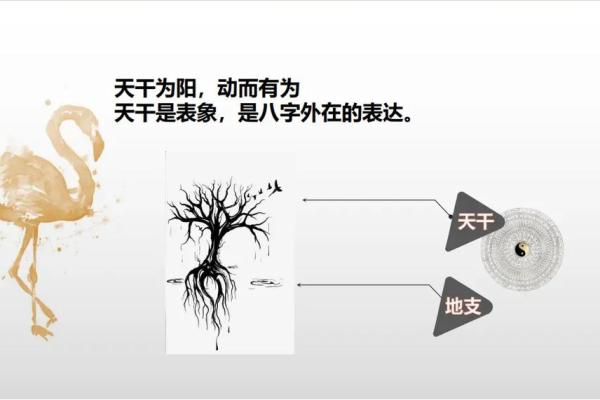 探索土命之谜：从五行看适合的开头号码与人生契机