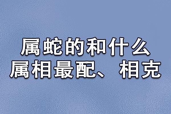 属蛇的命理解析：揭示神秘生肖背后的秘密与智慧