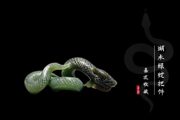 属蛇的命理解析：揭示神秘生肖背后的秘密与智慧