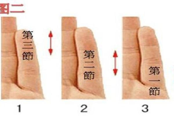 手指全是圆圈，揭示你命运的秘密！