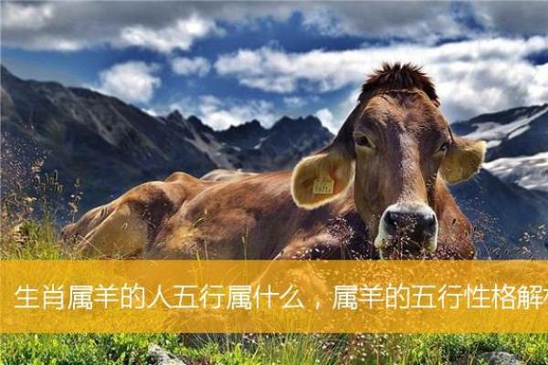 2009属羊人的命运与性格分析：探索他们的生活与事业之路