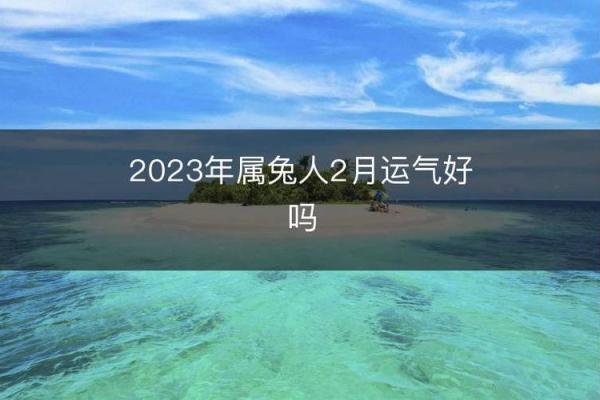 属兔1997的命理分析与人生导向