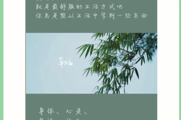 如何发现并弥补人生中的缺憾，寻求内心的平衡与充实