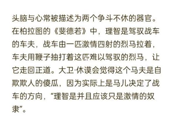 如何发现并弥补人生中的缺憾，寻求内心的平衡与充实
