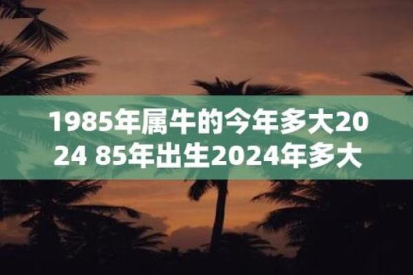1985年出生的人:命运与性格的独特之旅 1985年出生的人:命运与性格的独特之旅