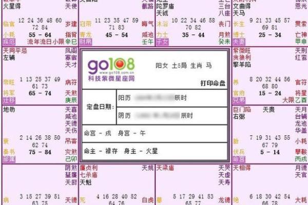 探究伤官格女命命盘的魅力与命运