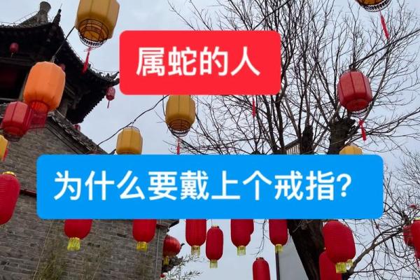 1977年属蛇人的命运与性格分析