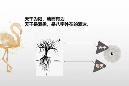 探索土命之谜：从五行看适合的开头号码与人生契机