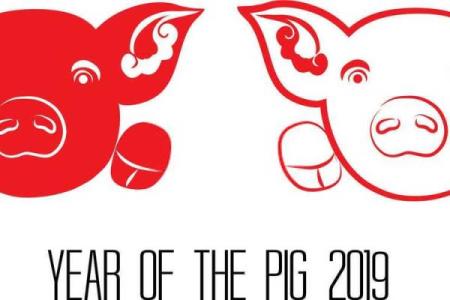 属猪金命运与数字的神秘关系探秘