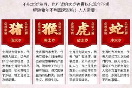 2022年虎年属什么命？揭秘虎年的命运与运势变化