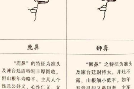 女孩富贵命，取名技巧与寓意解析，让她人生更顺畅