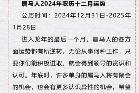 2023年生肖运势解析：解读各属相的命理特征与运势风向