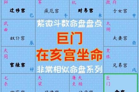 探究伤官格女命命盘的魅力与命运