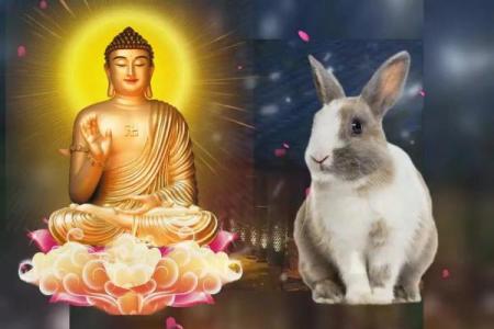 1975年属兔：机智与顺应的命运解析