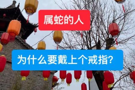 1977年属蛇人的命运与性格分析