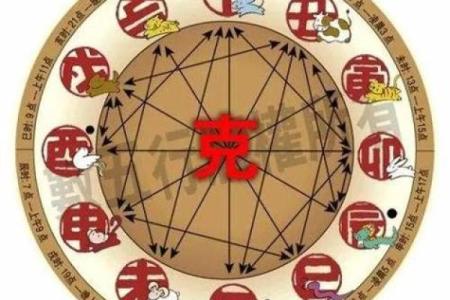 如何通过生肖与五行来了解你的命运与性格