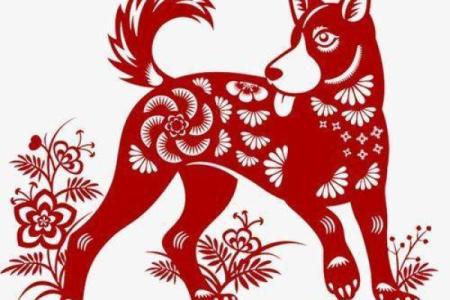 2011年属什么生肖？探秘兔年命理与运势分析！