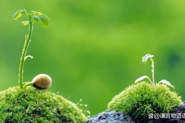 1999年：改变命运的一年，人生的转折点与成长之旅