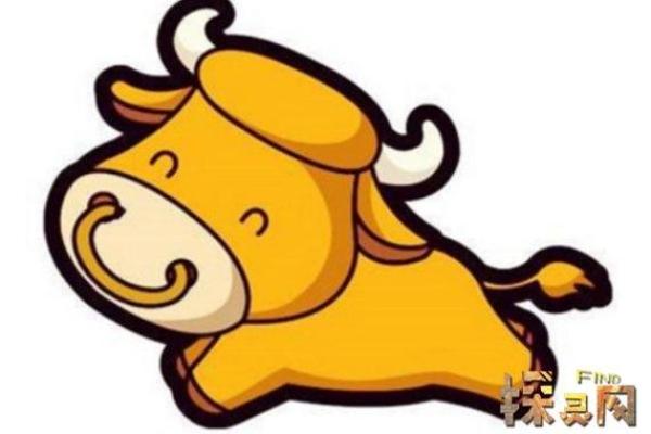 2019年属鼠宝宝命理解析：探寻他们的未来与命运之路