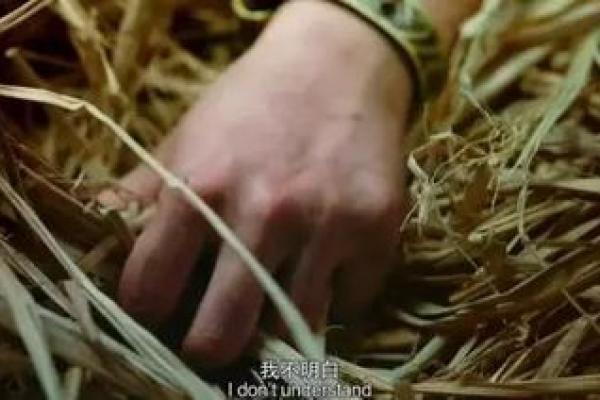 1975年5月的命运之谜：历史的戏剧与人性的光辉