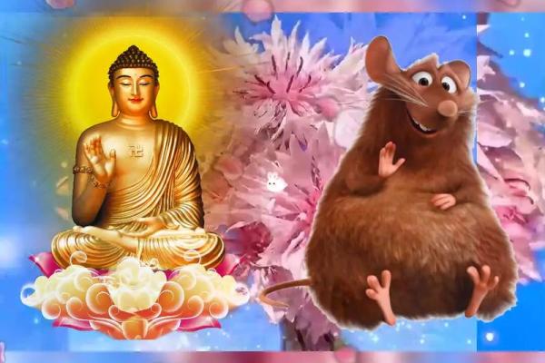 1999年属鼠人的命理解析:开启智慧与机遇的旅程 1999年属鼠人的命理解析:开启智慧与机遇的旅程