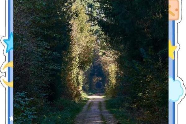 前世修行，今生命格的秘密揭示