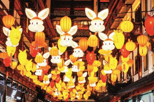 农历正月的兔子命：温柔与智慧的象征，解密兔年的命理之旅！