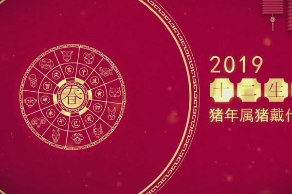 属猪女性：命理解析与幸福人生的秘密之钥