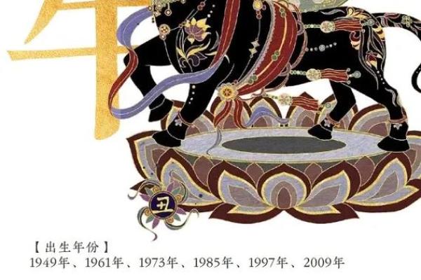 1961年出生的人生运势与命理分析