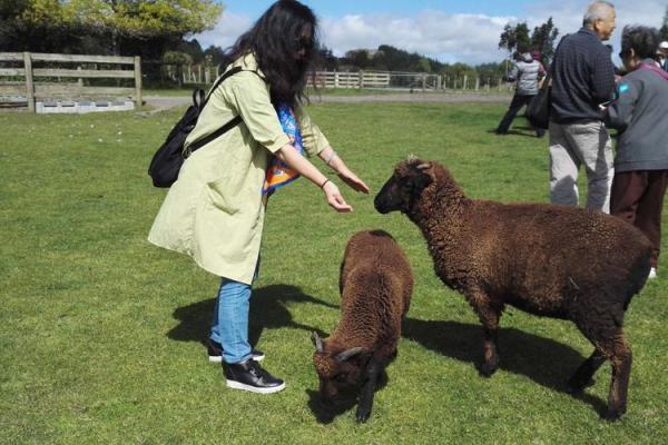 生在冬月的狗：天生的忠诚者与勇士