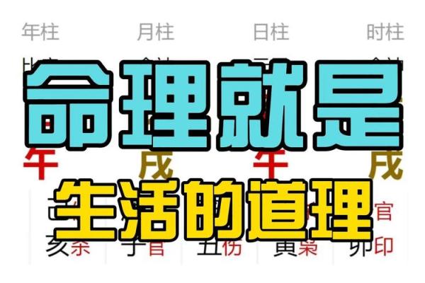 壬寅丙午年：命理解析与人生智慧的交汇点