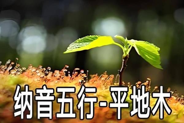 平地木命：如何为出生在此命格的人起一个富有意义的名字？
