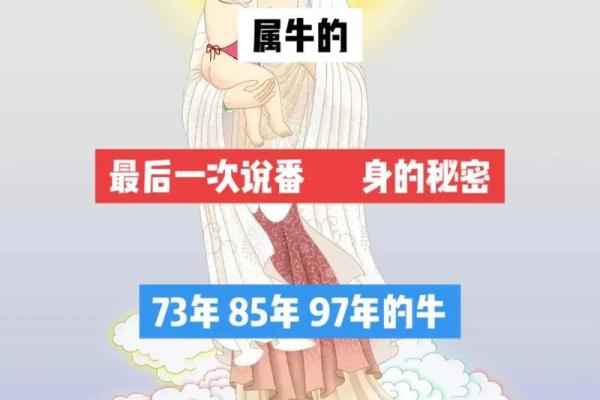 73年属牛，探索你的命运与性格特征