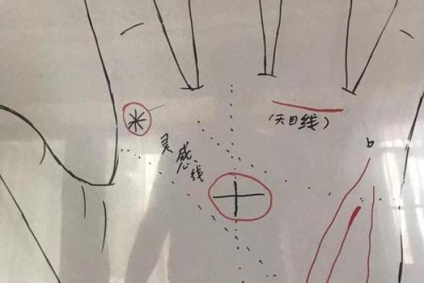 手命线上横纹的神秘意义与解读