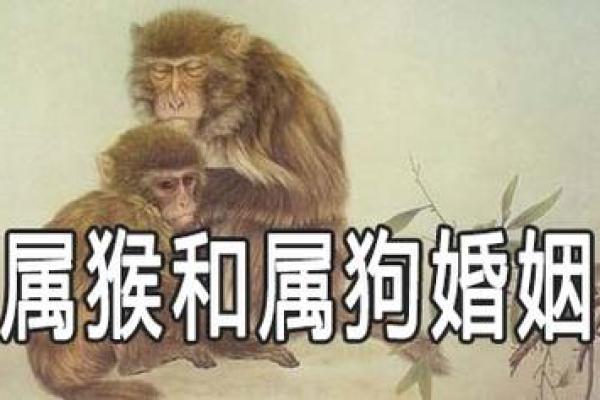 1988年属狗:属于你的命运之旅与性格解析 1988年属狗:属于你的命运之旅与性格解析