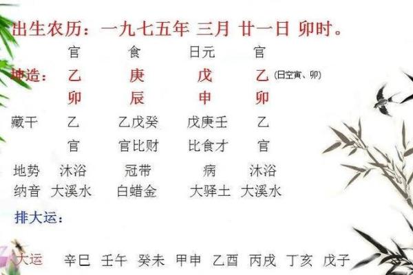 81年虎年生人命理解析：水命与木命的深度对比