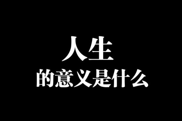儒家思想的命：探索人生的意义与价值观念