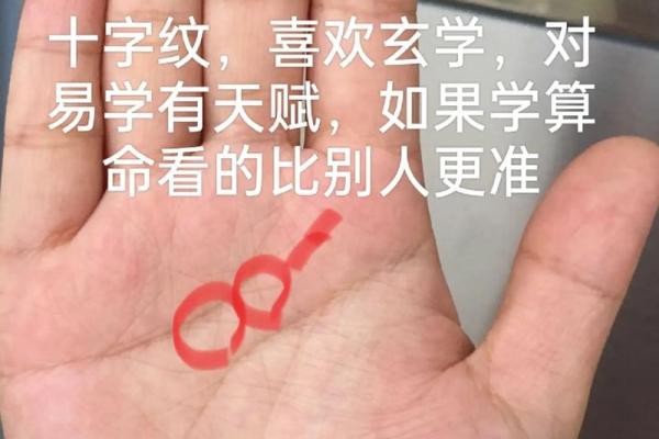 深邃手纹解析：命运的秘密与人生的启示