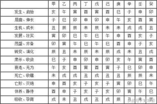 破解命理之谜：克死妻子的命运解析与启示