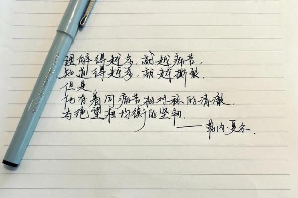 1956年5月的春天：一段历史的回声与人性的探索