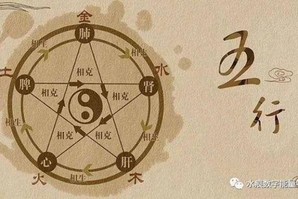 如何用数字解读生活中的深意：数字与命运的奇妙关系