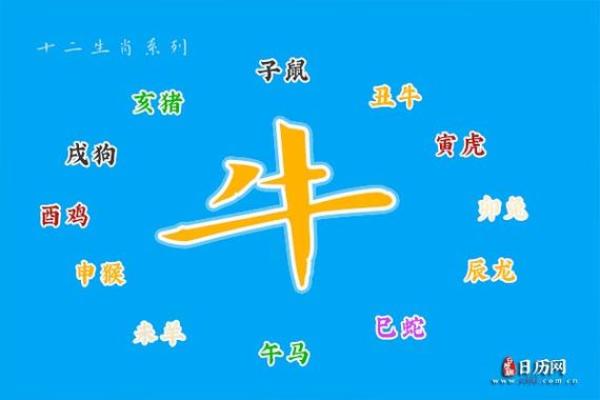 1997年属牛人的命运与人生观析 1997年属牛人的命运与人生观析