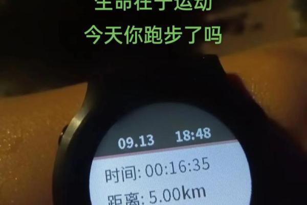 75年12月出生的人命运解析：精彩人生与内心探寻