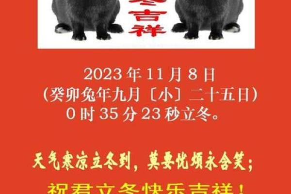 2023年农历兔年：兔年人的命运与运势解读指南